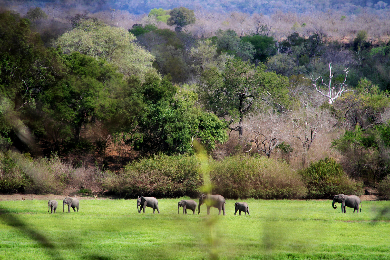 safari holidays with beach