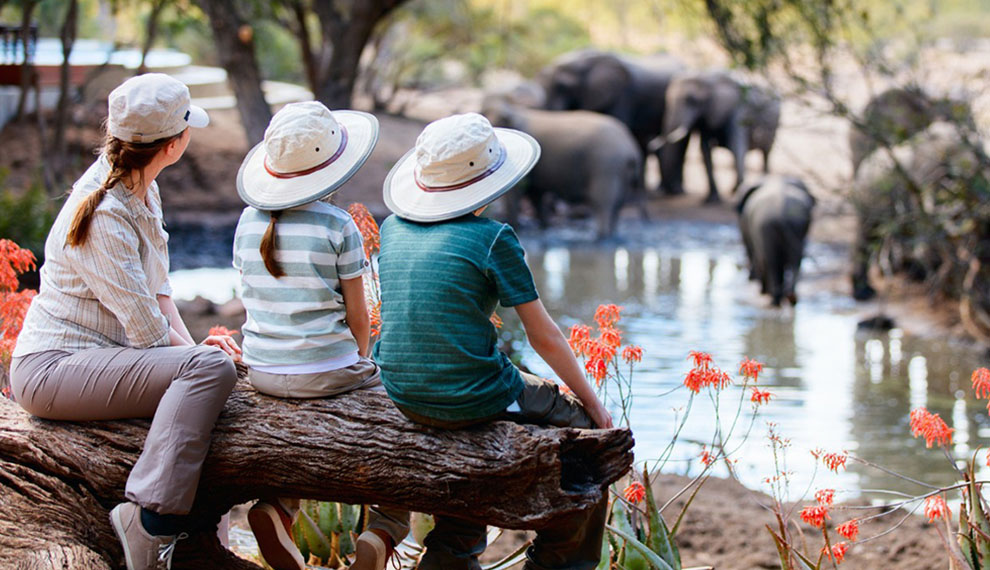 How to Keep your Children Safe on a Safari