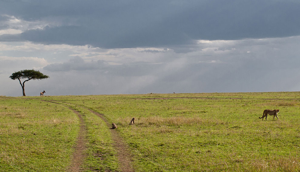 wilderness travel tanzania