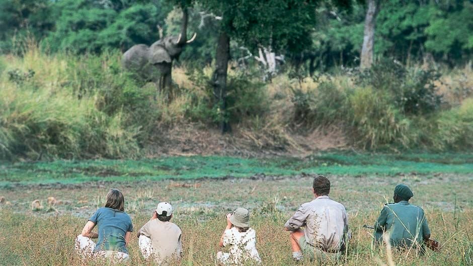 safari holidays with beach