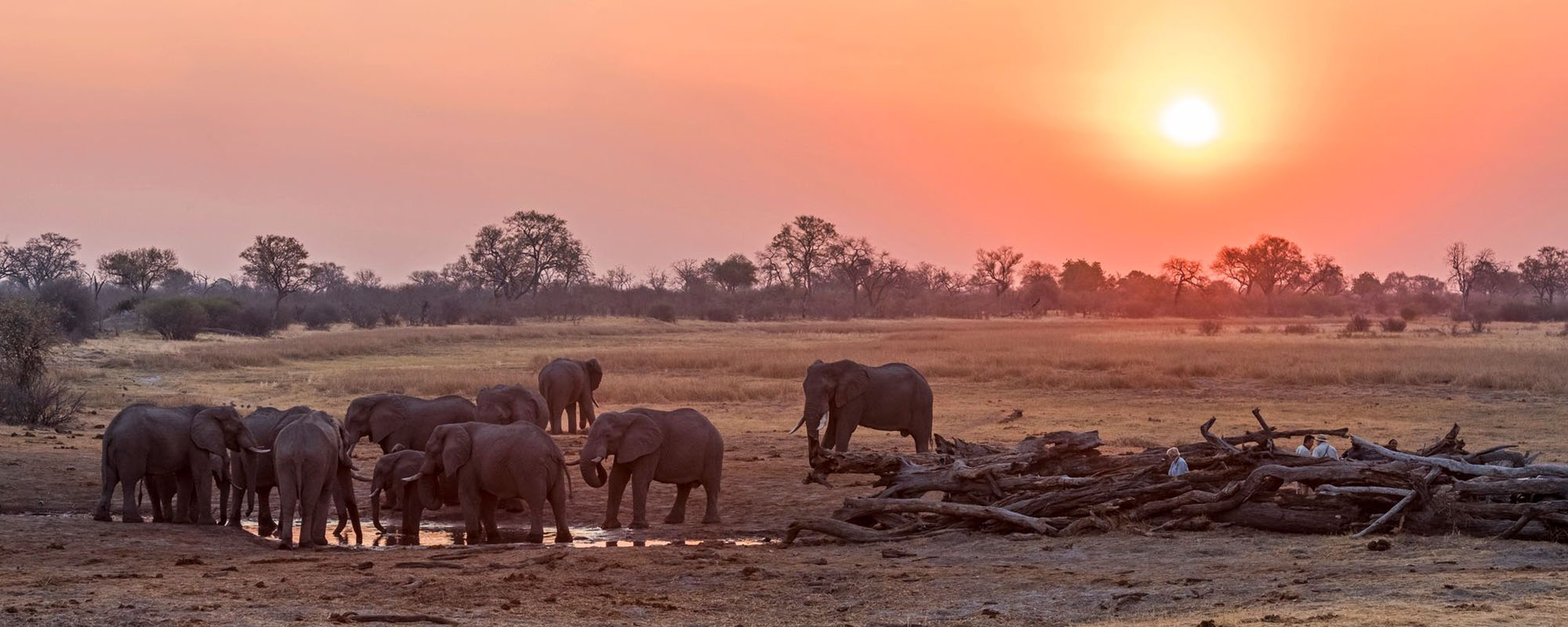 mobile safaris in botswana