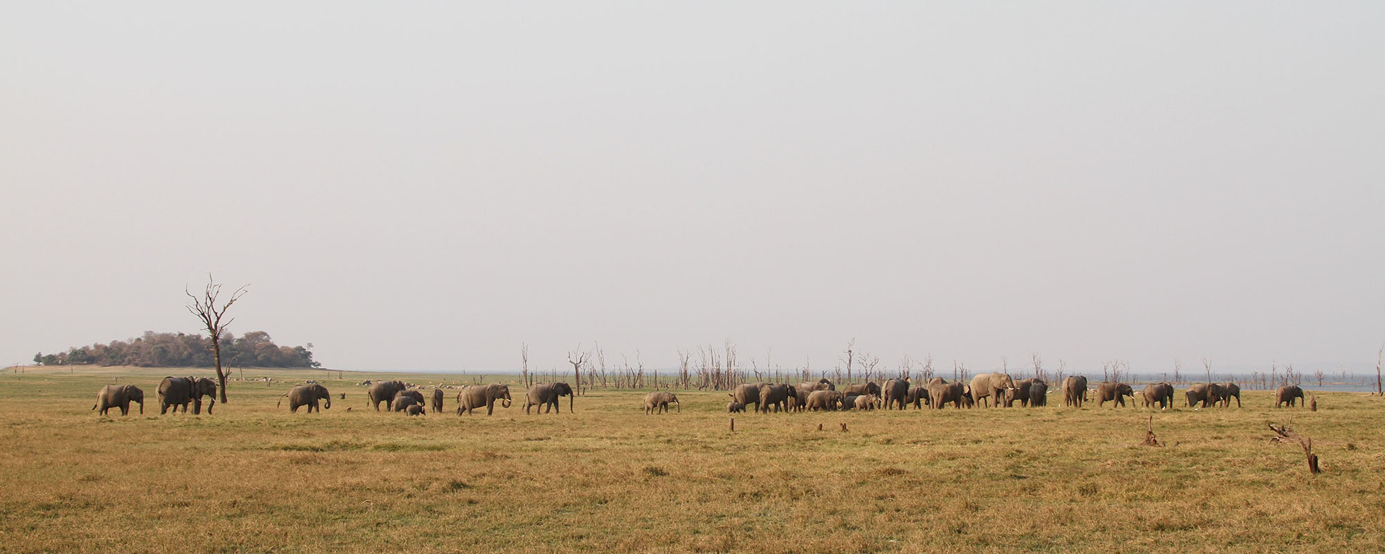 safaris en zambia