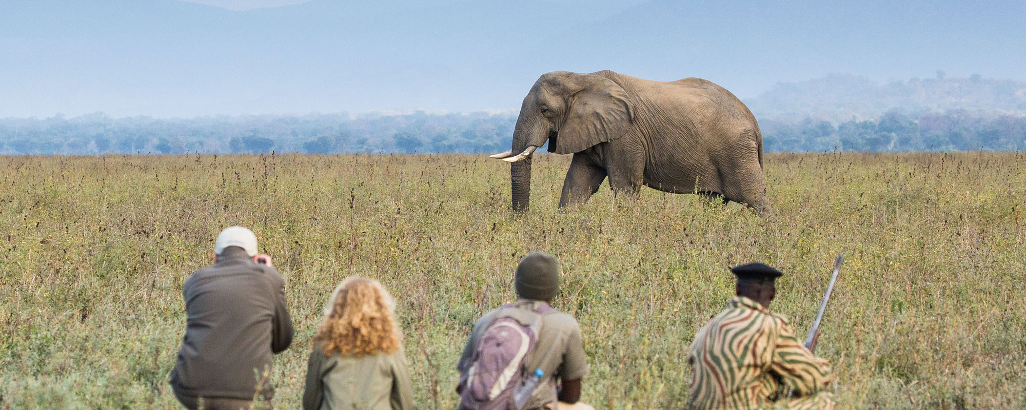 safaris en zambia