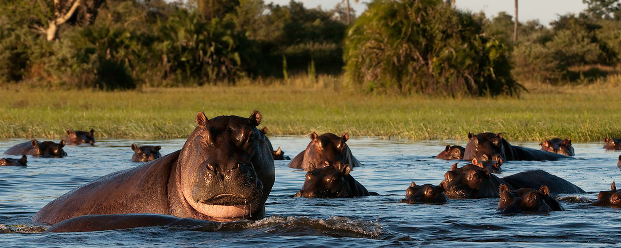 mobile safaris in botswana