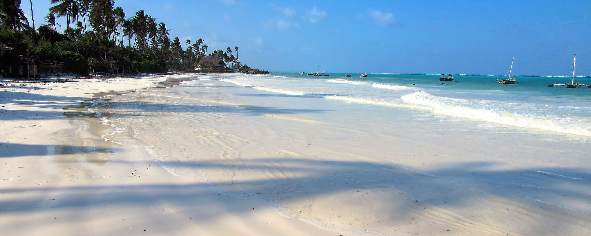 marine safari mozambique