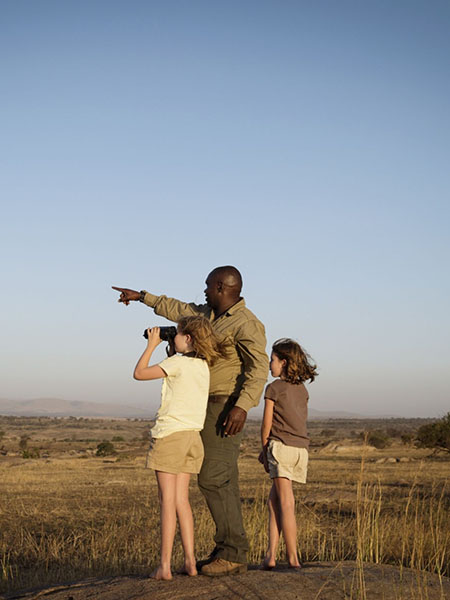 safari travel agency