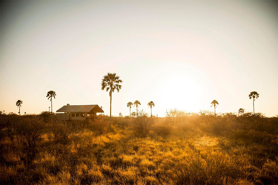 mobile safaris in botswana