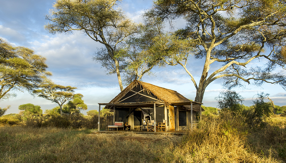 wilderness travel tanzania