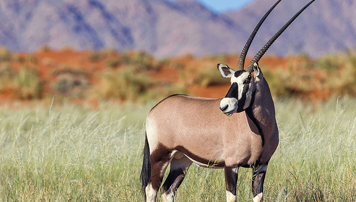 Namibia