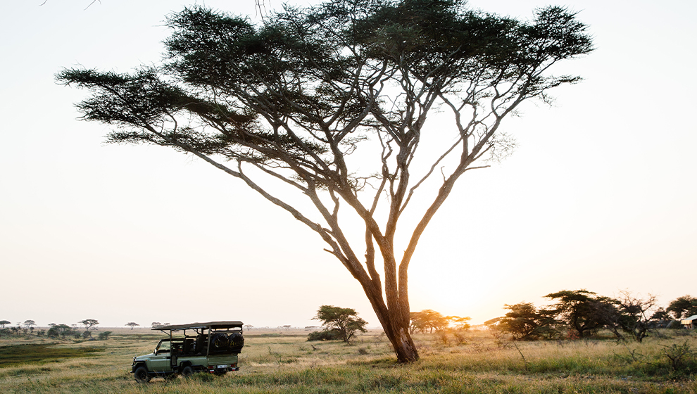 serengeti lion safari antalya