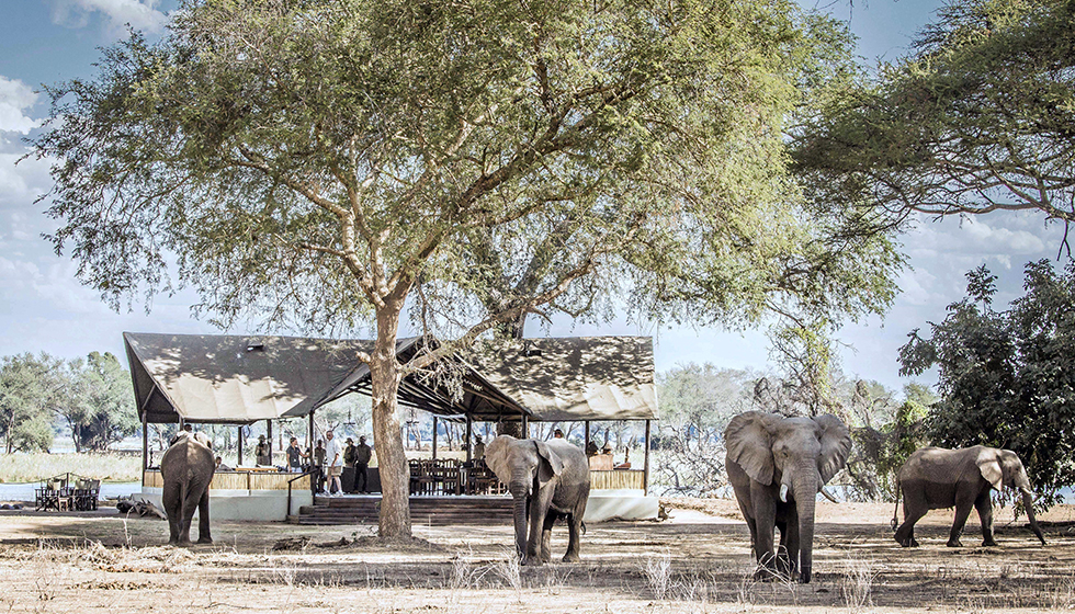 safari park at christmas