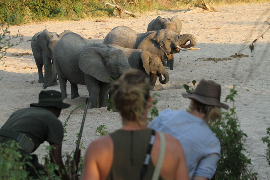 wilderness travel tanzania