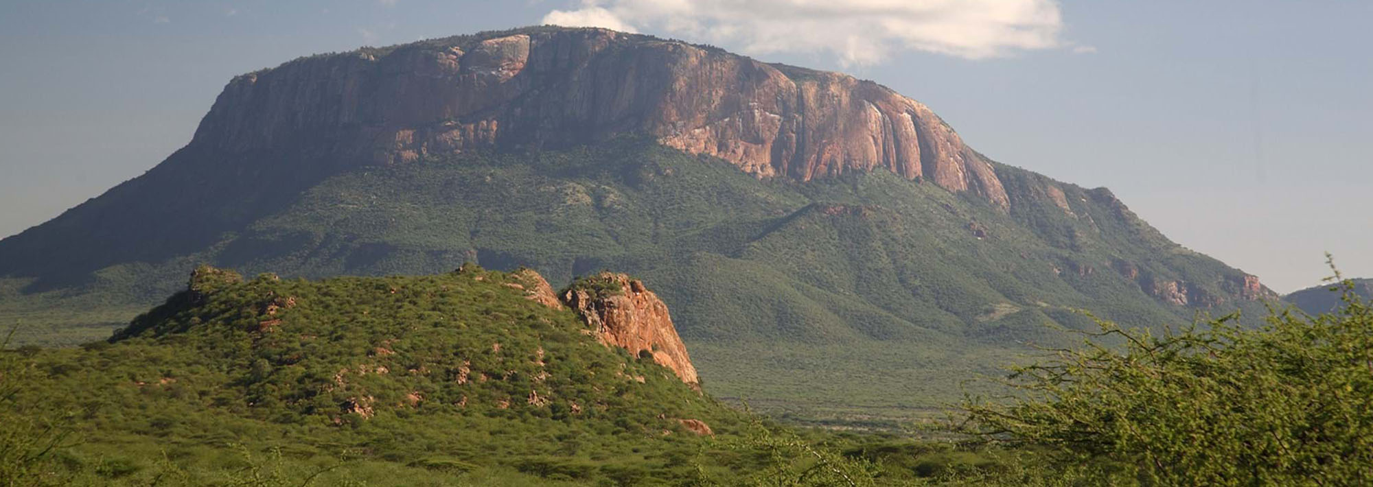 safari holidays in kenya