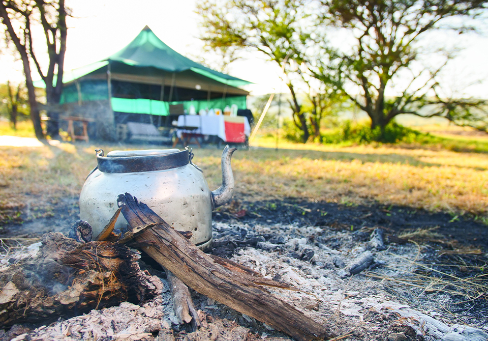 wilderness travel tanzania