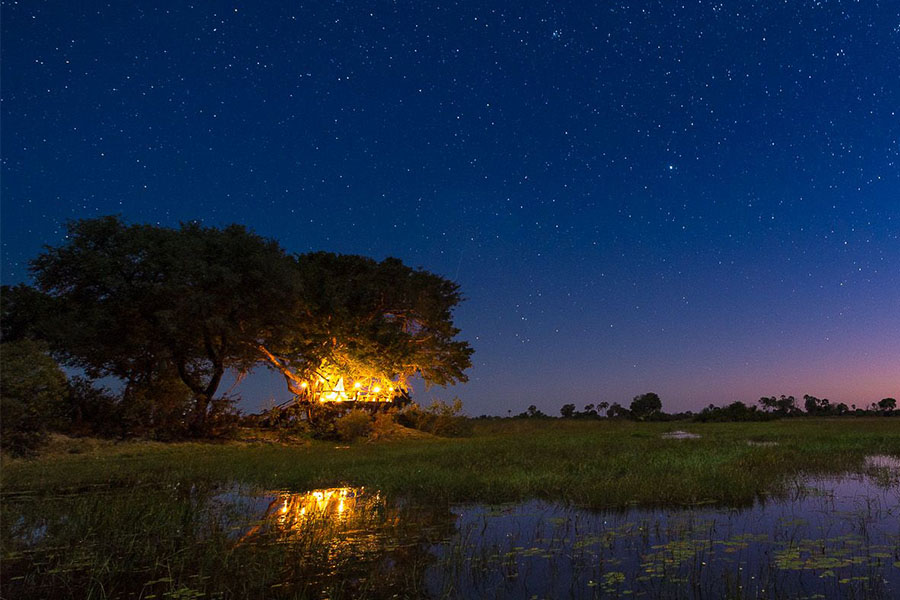 botswana family safari holidays