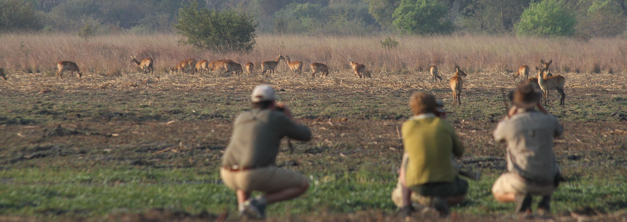 safaris en zambia