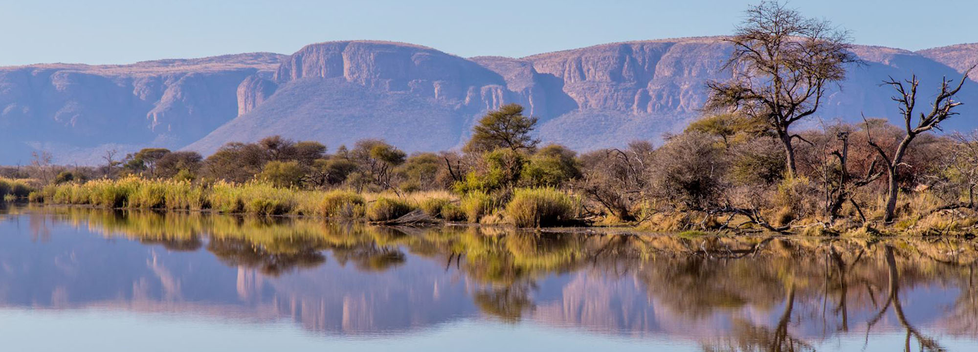 safari waterberg south africa