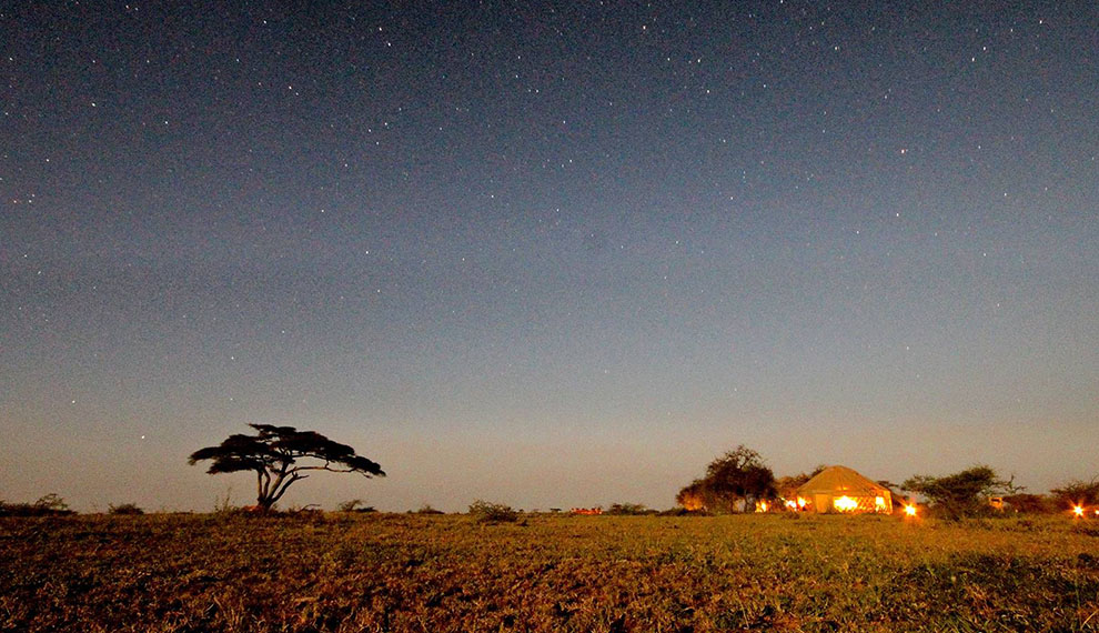 Top Safari Destinations for Christmas