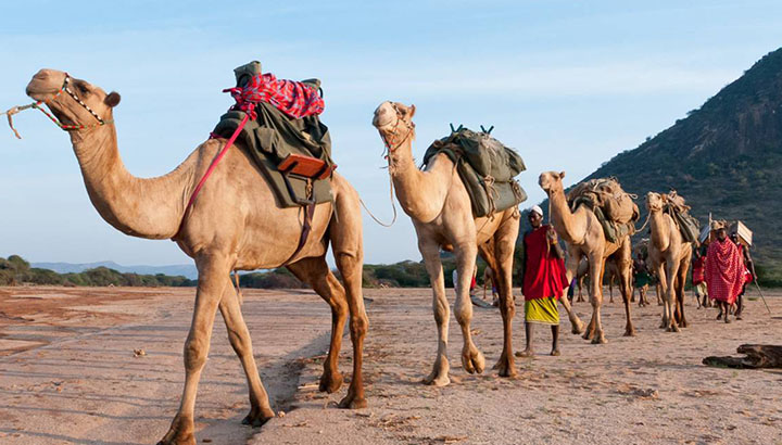 safari holidays in kenya