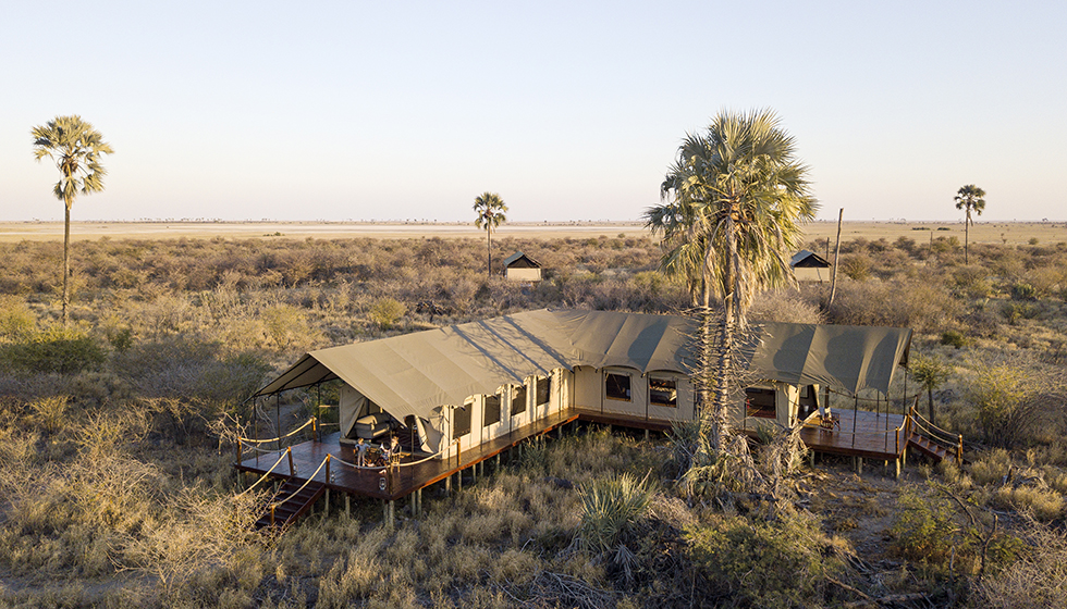 botswana family safari holidays