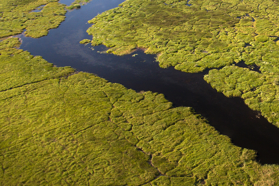 mobile safaris in botswana