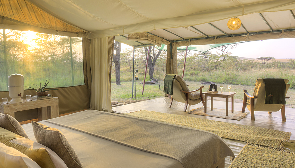 safari holidays in kenya