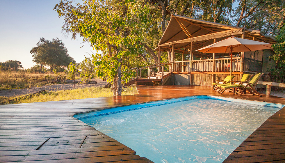 botswana family safari holidays