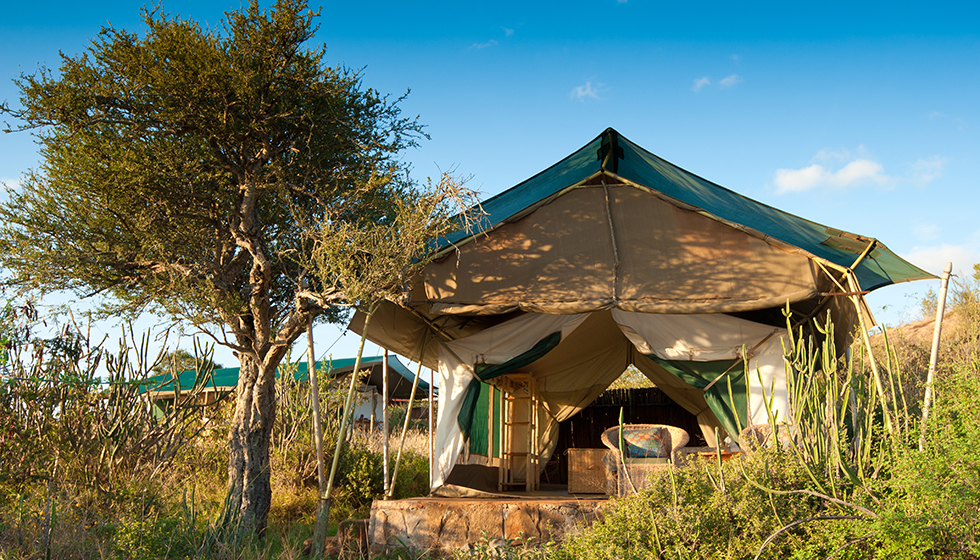 safari holidays in kenya