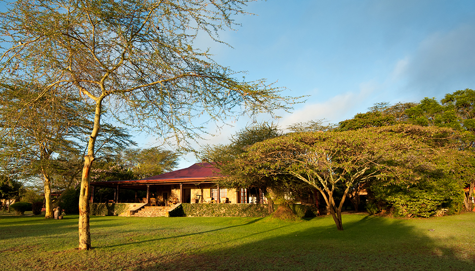 safari in kenya africa