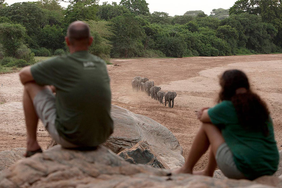 wilderness travel tanzania