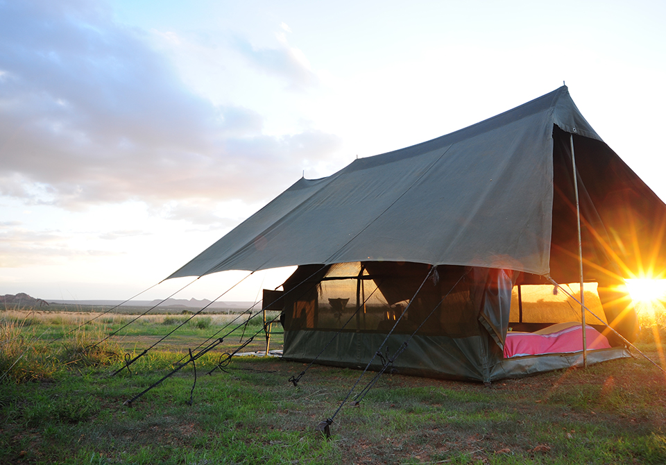 safari in kenya africa