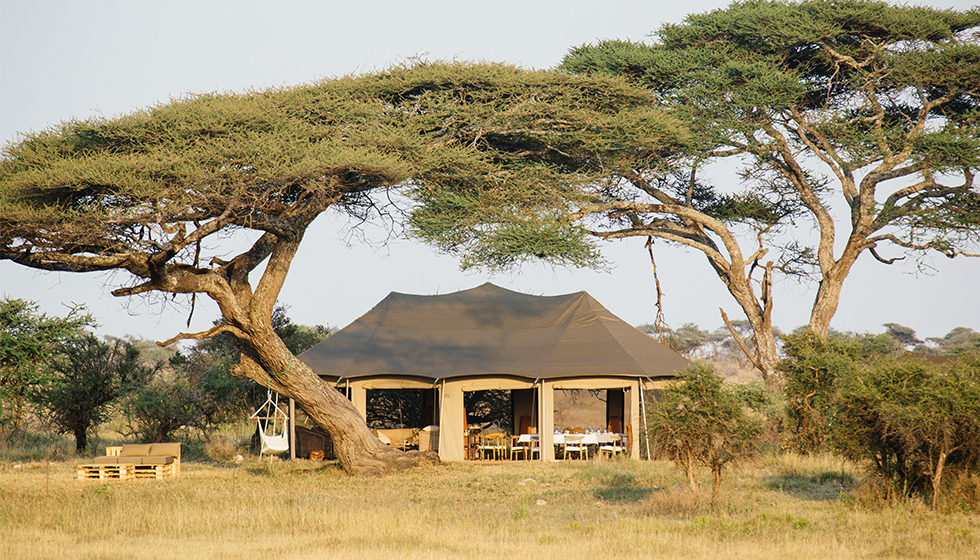 serengeti lion safari antalya