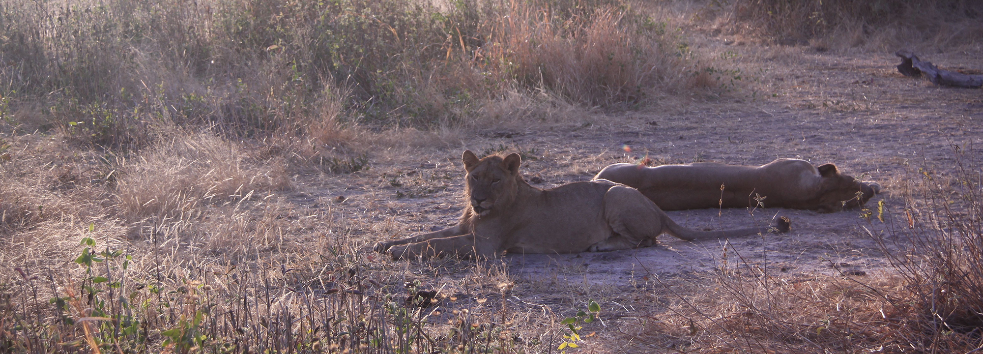 wilderness travel tanzania