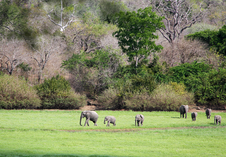 wilderness travel tanzania