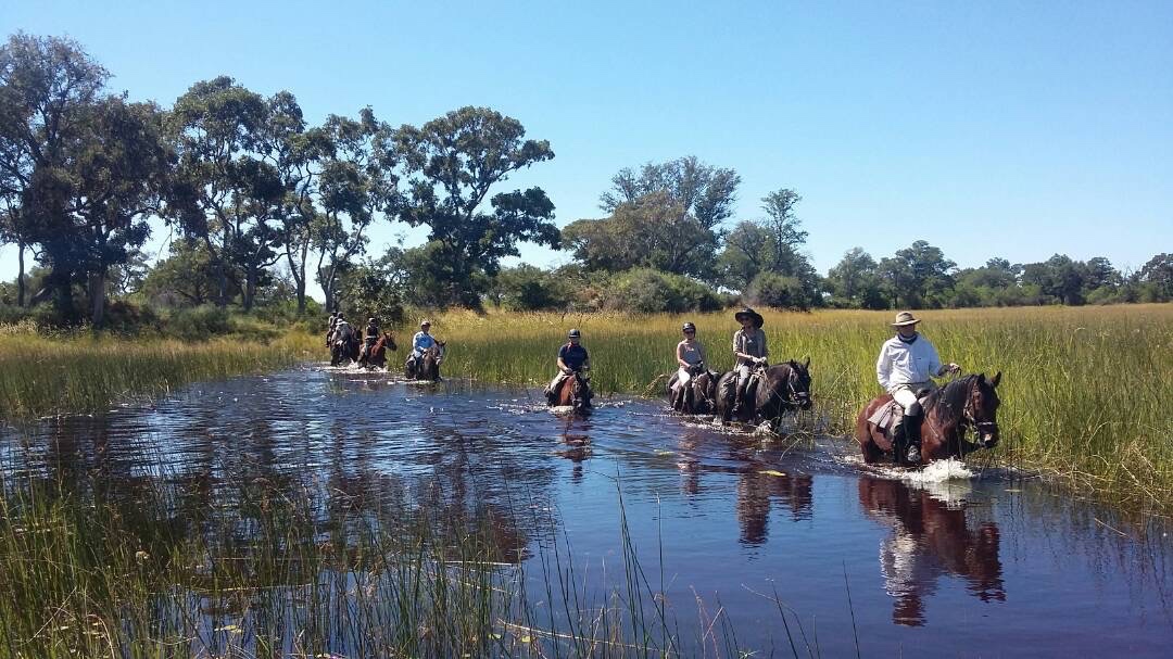 Riding Safaris in Botswana