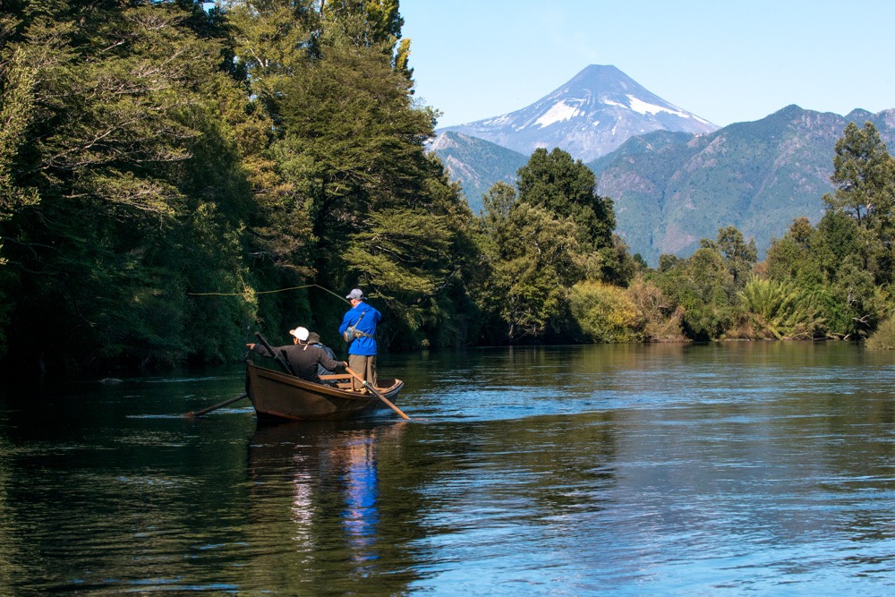 and Beyond Vira Vira