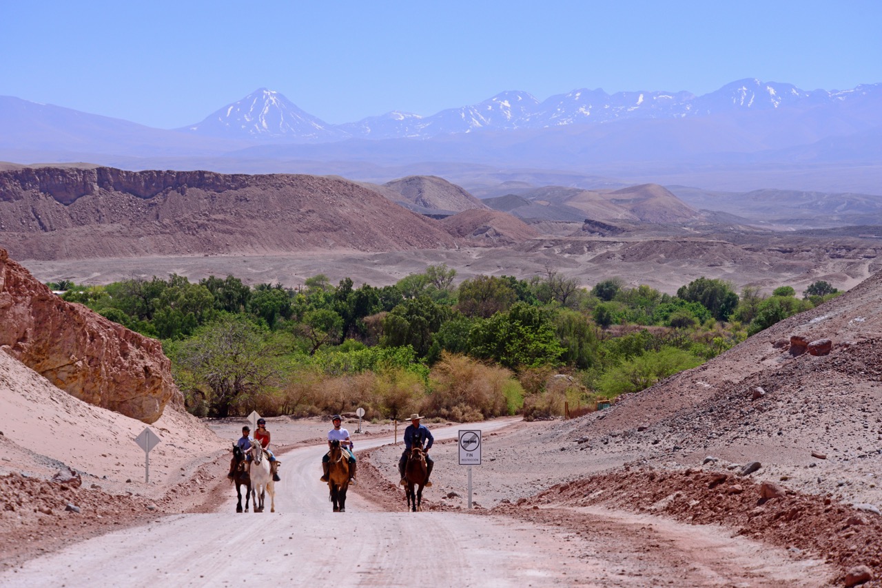Atacama horse riding