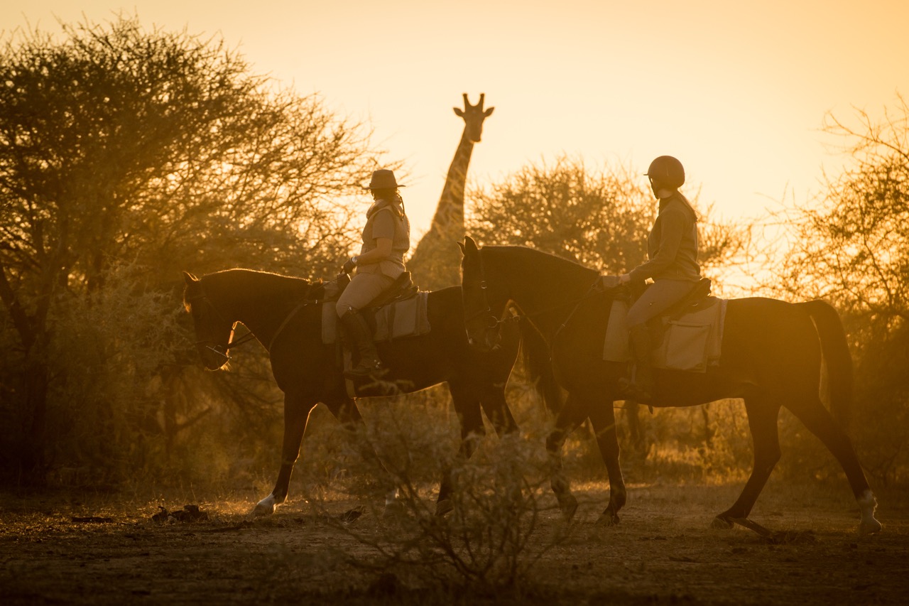 Horseback Safari